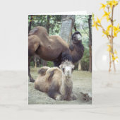 Jingle Baba und Purnimama Karte (Gelbe Blume)