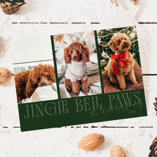Jingle Bell Paws Weihnachten Grüne Hunde-Foto