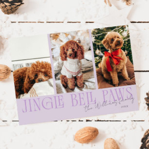 Jingle Bell Paws Weihnachten Lila Hund Foto