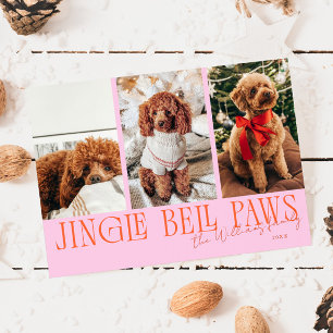 Jingle Bell Paws Weihnachten Orange Rosa Hund Foto