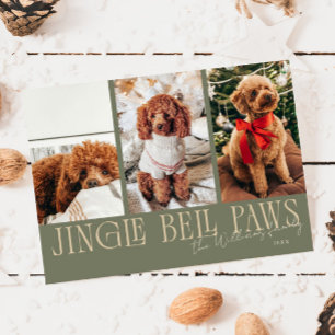 Jingle Bell Paws Weihnachten Salbei Grüne Hunde-Fo