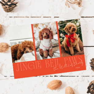 Jingle Bell Paws Weihnachtsfoto roter Hund  Feiertagskarte