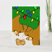Jingle Claws Weihnachtskarte Lustiges Katzendesign Karte (Vorderseite)