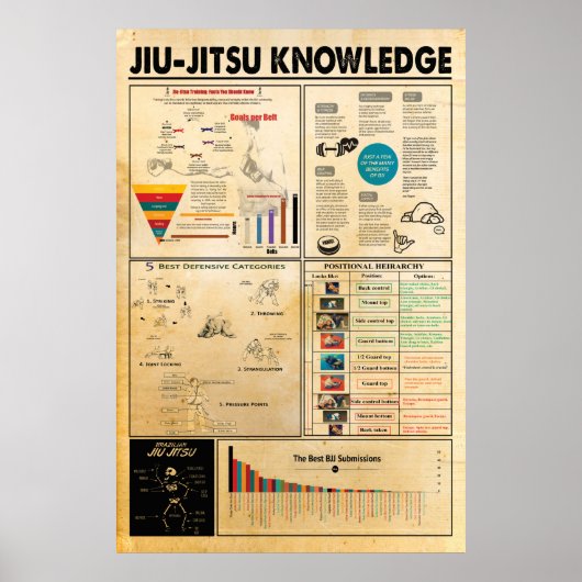 Jiu Jitsu Wissensposter, Jiu Jitsu Poster (Vorne)