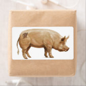 JJHD-Schweinekennzeichen (Insitu)