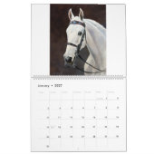 JNS 2023 Pferdekunstkalender Kalender (Jan 2027)