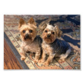 JoAn Nicolas Rosie Fotodruck (Vorne)