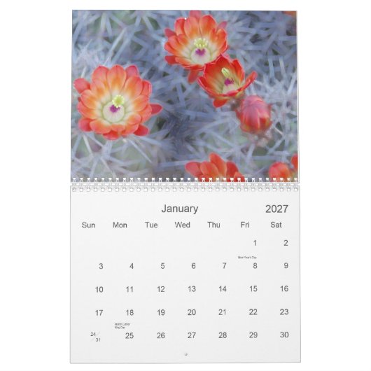 Joanne L Gallery Fotografy 2012 Kalender (Jan 2027)