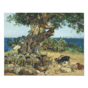 Joaquin Sorolla - der Johannisbrotbaum-Baum Fotodruck