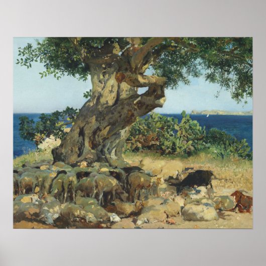 Joaquin Sorolla - Der Johannisbrotbaum Poster (Vorne)