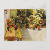 Joaquín Sorolla - Ein Dach mit Blume Postkarte (Vorderseite)