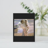 Joaquín Sorolla y Bastida nach dem Tod Postkarte (Stehend Vorderseite)