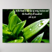 Job 12:10, Print, Value Poster Paper (Matte) (Vorne)