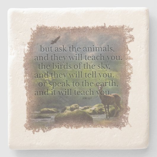 JOB 12:7 - Coaster Steinuntersetzer (Vorderseite)