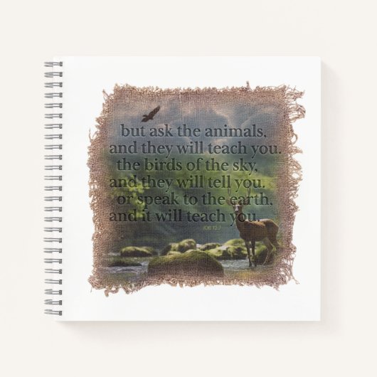 JOB 12:7 - Journal Notizblock (Vorderseite)