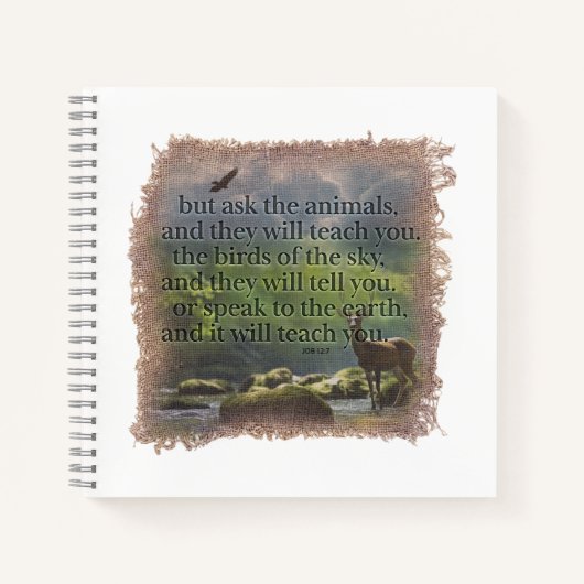 JOB 12:7 - Journal Notizblock (Vorderseite)