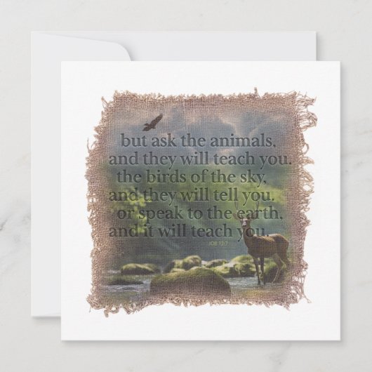 JOB 12:7 - Personalized Notecard Mitteilungskarte (Vorderseite)