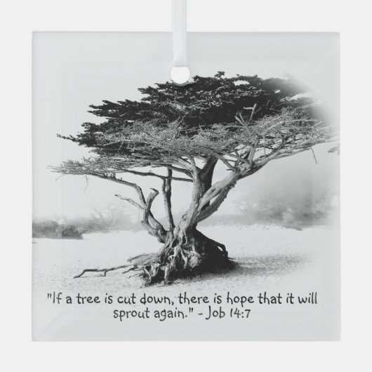 JOB 14:7 Glasverzierung Ornament Aus Glas (Vorderseite)