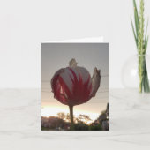 Job, Hippie Karte (Vorderseite)