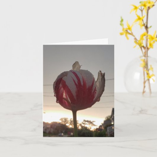 Job, Hippie Karte (Gelbe Blume)