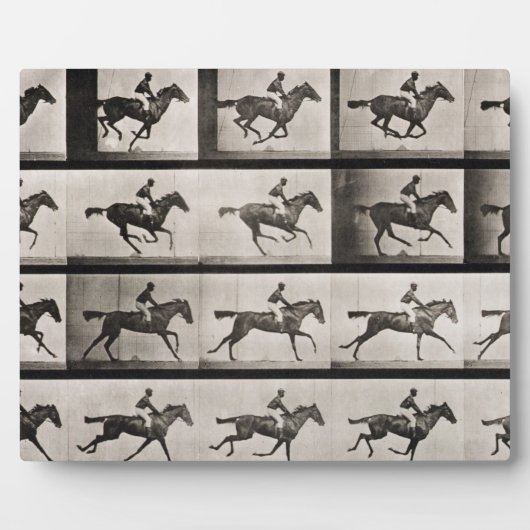 Jockey auf einem galoppierenden Pferd, Platte 627  Fotoplatte (Vorderseite)