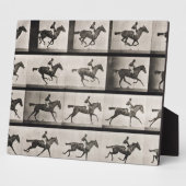 Jockey auf einem galoppierenden Pferd, Platte 627  Fotoplatte (Seite)