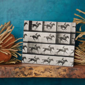 Jockey auf einem galoppierenden Pferd, Platte 627  Fotoplatte (Seite)