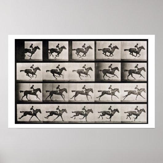 Jockey auf einem galoppierenden Pferd, Platte 627  Poster (Vorne)