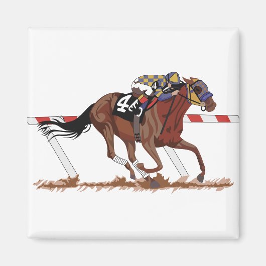 Jockey auf Racehorse Magnet (Vorne)