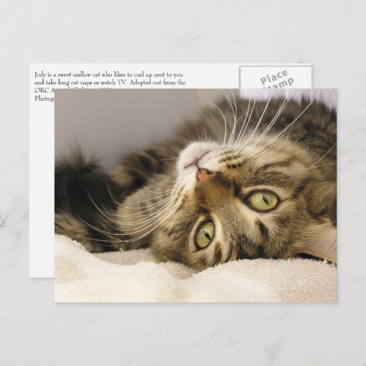 Jody Postkarte (Vorne/Hinten)