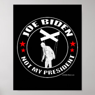 Joe Biden ist nicht mein Präsident.puppet. Pelosi Poster