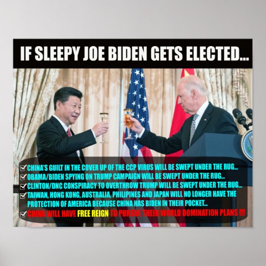 JOE BIDEN WAHLPOSTER POSTER (Vorne)