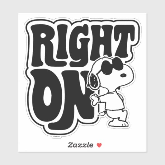 Joe Cool - Richtig Aufkleber (Blatt)