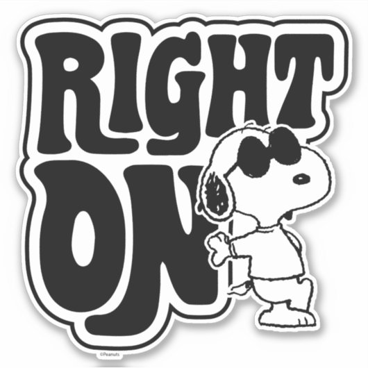 Joe Cool - Richtig Aufkleber (Vorderseite)