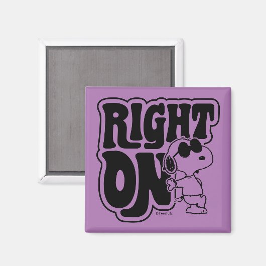 Joe Cool - Richtig Magnet (Vorderseite/Rückseite)