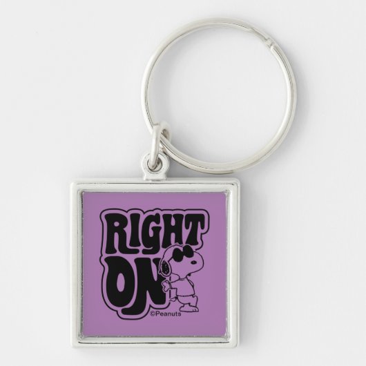 Joe Cool - Richtig Schlüsselanhänger (Vorne)