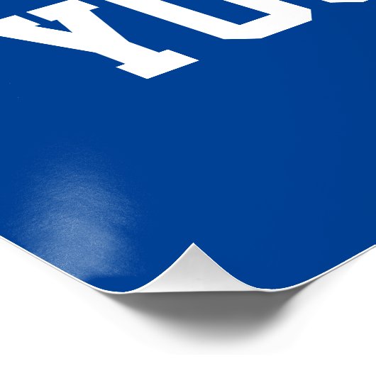 Joe, Joe, Joe Your Vote Poster (Ecke)