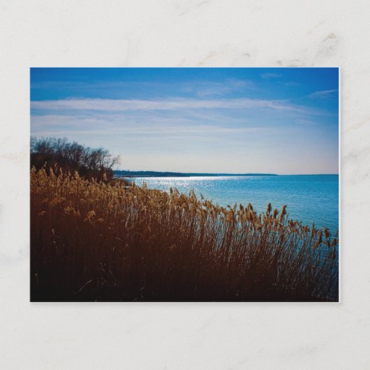 Joe Pool Lake Postkarte (Vorderseite)