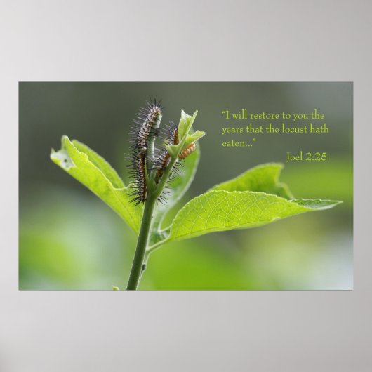 Joel 2:25 Scripture Poster (Version C) (Vorne)