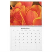Joellens Liebling stellt Kalender 2009 dar (Feb 2027)