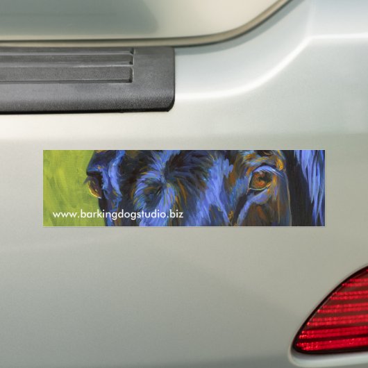 Joes Augen Autoaufkleber (Auf Auto)