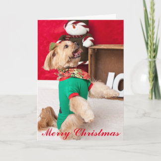 Joey besorgt für Weihnachten (2015)