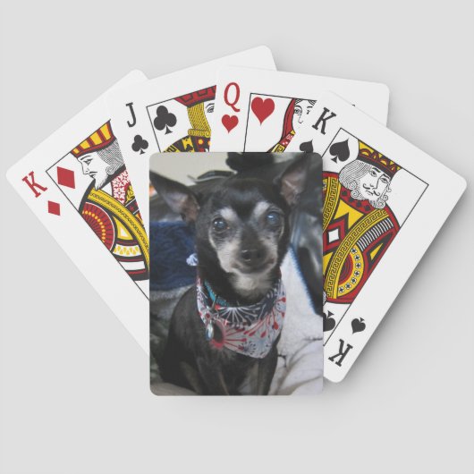 Joey die Chihuahua Spielkarten (Rückseite)