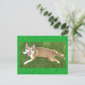 Joey Laughs Postkarte (Stehend Vorderseite)