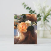 Joey Orange Rose Postkarte (Stehend Vorderseite)