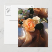 Joey Orange Rose Postkarte (Vorne/Hinten)