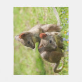 Joey Wallabies im Sonnenschein Fleecedecke (Vorderseite)