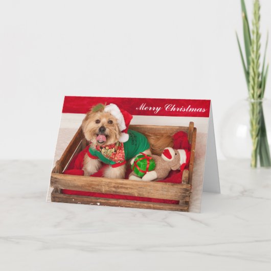 Joey wünscht jeder frohen Weihnachten (Vorderseite)