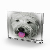 Joggen Terrier Hund. Fotoblock (Rechts)