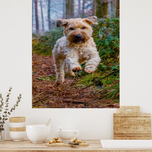 Joggen Terrier Hund. Poster (Küche)